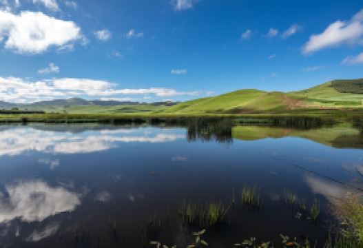 3D2N · Private Tours · China + Inner Mongolia + Beijing + Saihanba National Forest Park + Wulanbutong Steppe Tourist Area · Starting and ending in Beijing, the entire journey is by car with a private custom tour for each family. Includes off-road vehicle adventure in Ulan Butong and interactive experiences with adorable grassland animals at Royal Deer Park.