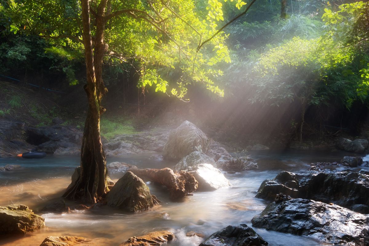 ป่าและเนินเขียวของอุทยานแห่งชาติเขาใหญ่