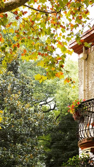 8D7N • From Shanghai's Bund to Yancheng's wetlands, Yangzhou's Slender West Lake, Zhenjiang's Jinshan, Nanjing's Qinhuai River, Maoshan Mountain, and Wuxi's Taihu Lake - a grand Jiangsu discovery