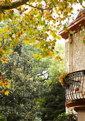 8D7N • From Shanghai's Bund to Yancheng's wetlands, Yangzhou's Slender West Lake, Zhenjiang's Jinshan, Nanjing's Qinhuai River, Maoshan Mountain, and Wuxi's Taihu Lake - a grand Jiangsu discovery