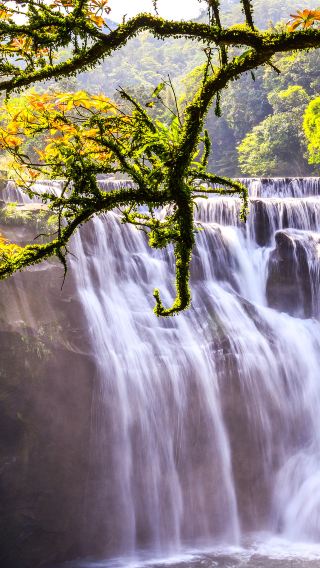 7D6N • Great outdoors-hug mother nature with wide-open arms,turn in to the sounds of the wild and bask in the purest air