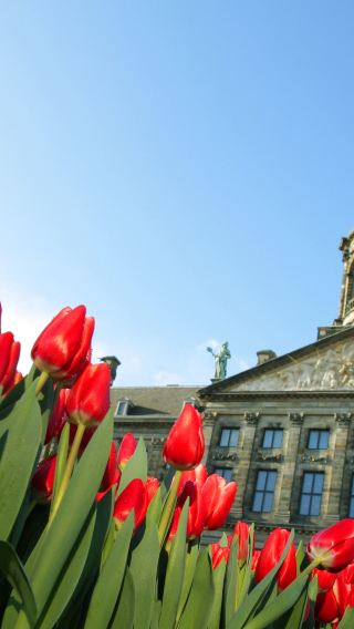 10D9N • Amsterdam, Paris & London — Iconic Europe journey