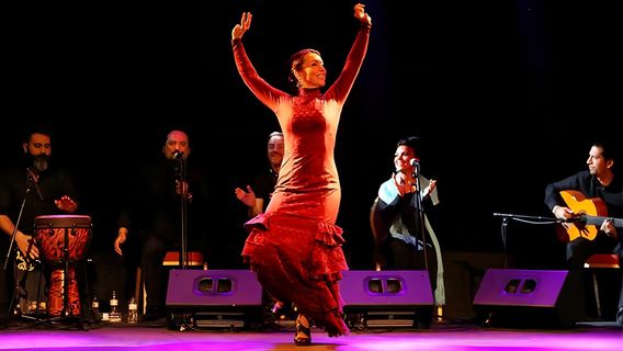 Flamenco City Hall Theatre - Barcelona