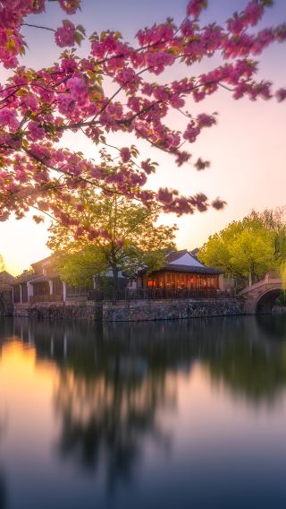 3D2N • Hangzhou + Qiandao Lake Scenic Area + Wuzhen + Xitang Ancient Town