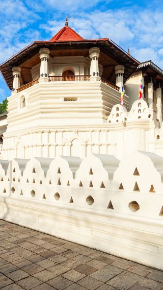 2天1晚 • 可倫坡 Colombo＋康提＋大象孤兒院＋佛牙寺＋康提湖＋皇家植物園