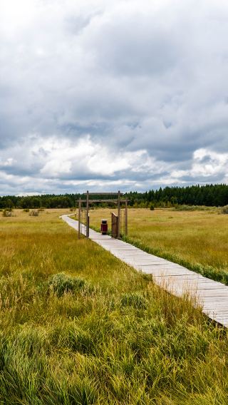 3D2N • China + Inner Mongolia + Chifeng + Ulan Butung Grasslands + Mulan Paddock