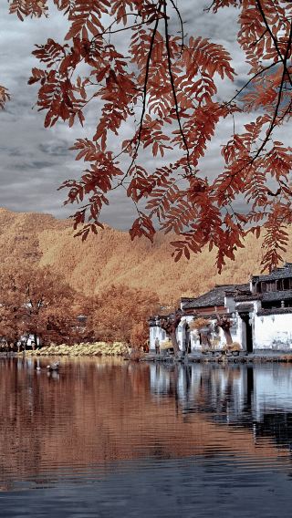 4D3N • China + Mount Huangshan Scenic Area + Hongcun Village