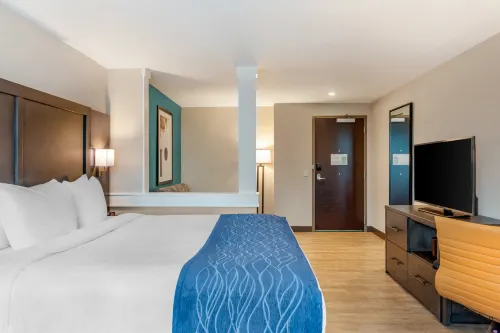Comfort Inn & Suites Miami International Airport Rooms Photos
