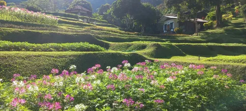 Mae Sa Valley Garden Resort Espaces publics Photos