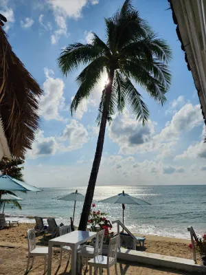 Sand Sea Beach Resort Area Publik Photos