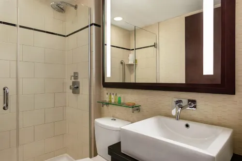 DoubleTree by Hilton New York Downtown Camere Photos