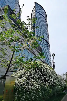 Somerset Riverview Chengdu In der Nähe des Hotels Photos