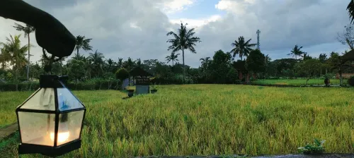 Agung Raka Resort & Villa Area Publik Photos