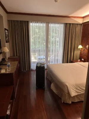 Conifer Boutique Hotel Rooms Photos
