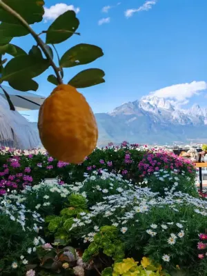 Date jade dragon snow mountain view guest house Espaces publics Photos
