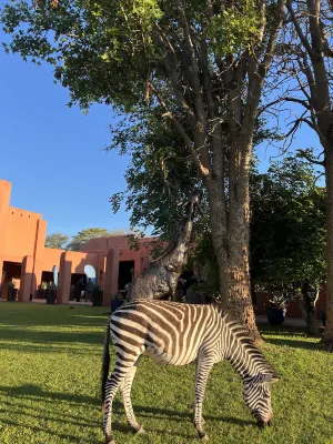 Avani Victoria Falls Resort Espaces publics Photos