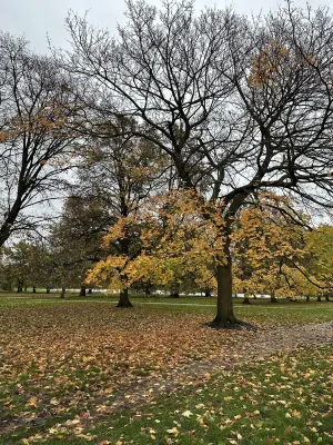 Hilton London Hyde Park Aree comuni Photos