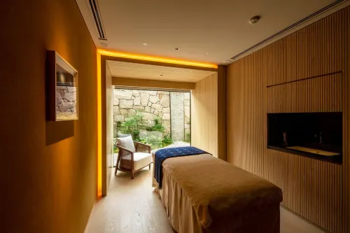 Hotel the Mitsui Kyoto, a Luxury Collection Hotel & Spa Relaksasi & Rekreasi Photos