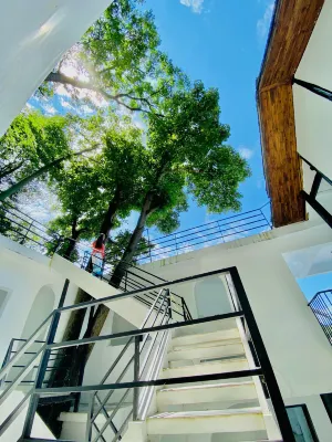 Jiuye Banshan B&B (Phoenix Ancient Town Store) Public Areas Photos