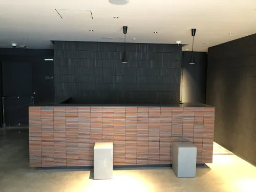 Lof Hotel Shimbashi Избранное Photos