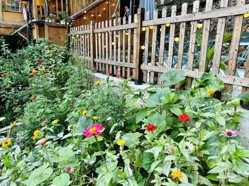 Yiye Yisu Shangpin Hostel Extérieur Photos