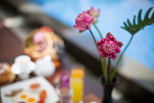 Angkor Privilege Resort & Spa Featured Photos