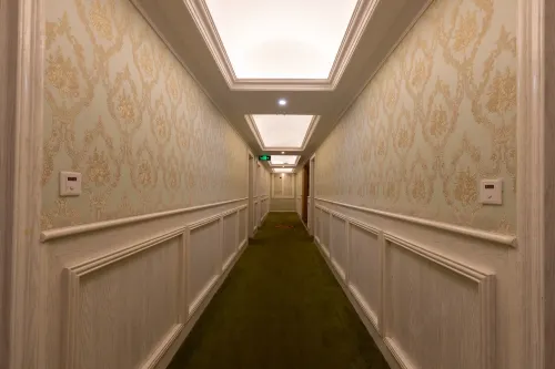 Teddy Bear Boutique Hotel Area Publik Photos