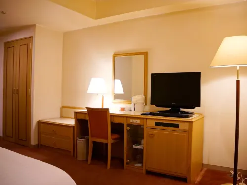 Marroad International Hotel Narita Camere Photos