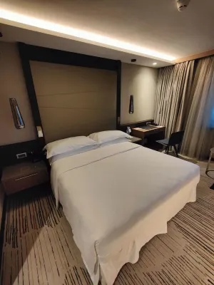 쉐라톤 그랜드 트빌리시 메테치 팰리스 객실 Photos