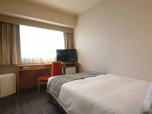 Hotel Nikko Himeji Chambres Photos