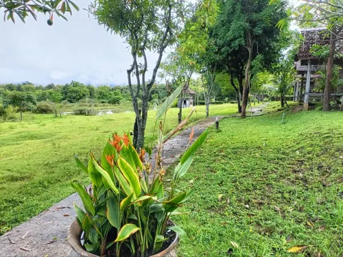 Vimarnkiri Resort Photos
