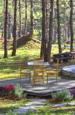 Rừng Lá Kim Resort Ngoại thất Photos