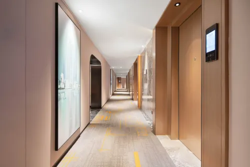 Hampton by Hilton Hubin South Road Photos