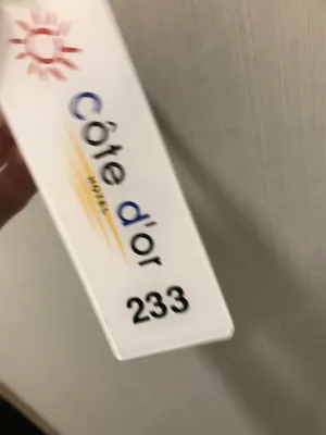 Cote Dor Hotel Photos