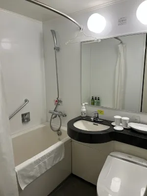 Sotetsu Grand Fresa Tokyo-Bay Ariake Camere Photos
