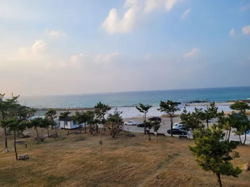 마레보 비치 호텔 공용공간 Photos