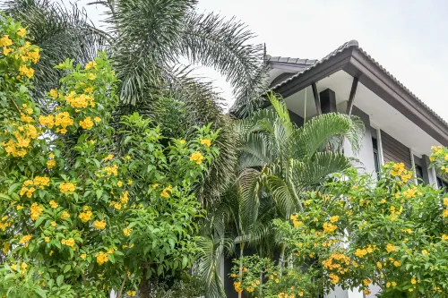 Baan Kieng Tawan Eksterior Photos