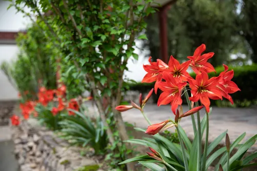Tianyou Manor Photos
