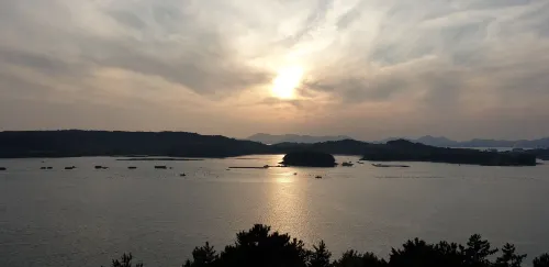 여수 오션힐호텔 공용공간 Photos