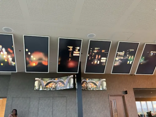 Hotel La Tour Area Publik Photos