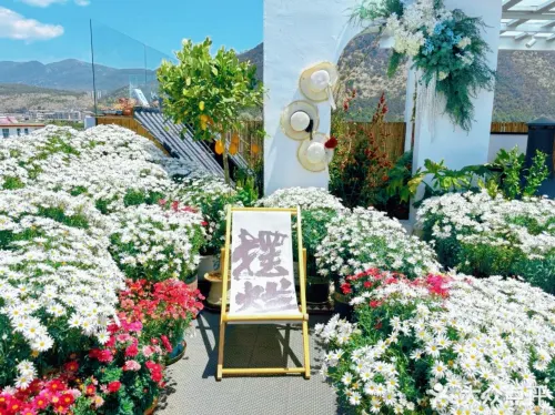 Date jade dragon snow mountain view guest house Espaces publics Photos