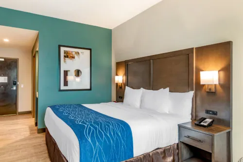 Comfort Inn & Suites Miami International Airport Rum Photos