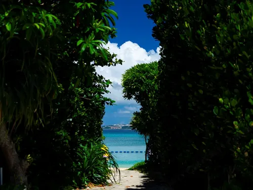 Kanehide Kise Beach Palace Near Hotel Photos