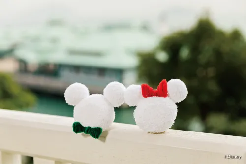 Hong Kong Disneyland Hotel Rooms Photos