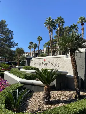 Desert Rose Resort Photos