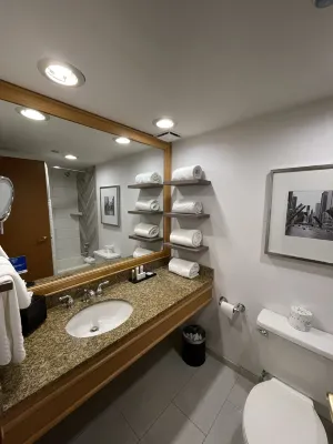 Embassy Suites by Hilton Chicago O'Hare Rosemont Rooms Photos