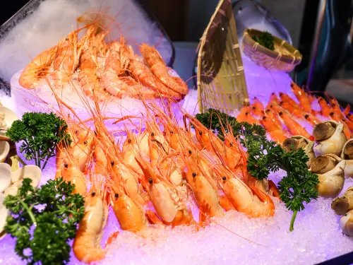 HYATT PLACE NANCHONG GAOPING Dining Photos