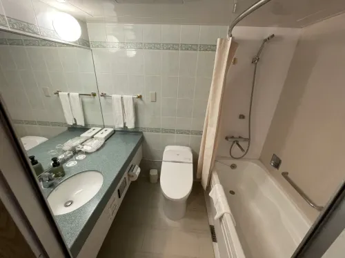 International Garden Hotel Narita Rooms Photos