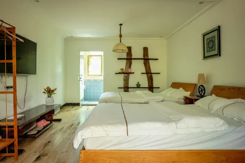 momo hotel Rooms Photos
