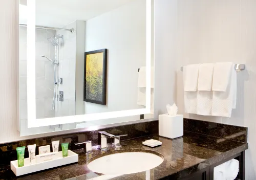 Hilton Miami Downtown Camere Photos